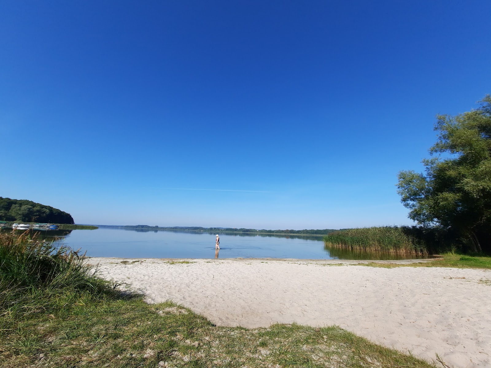 Foto di Hundestrand Dahmen con una superficie del sabbia beige