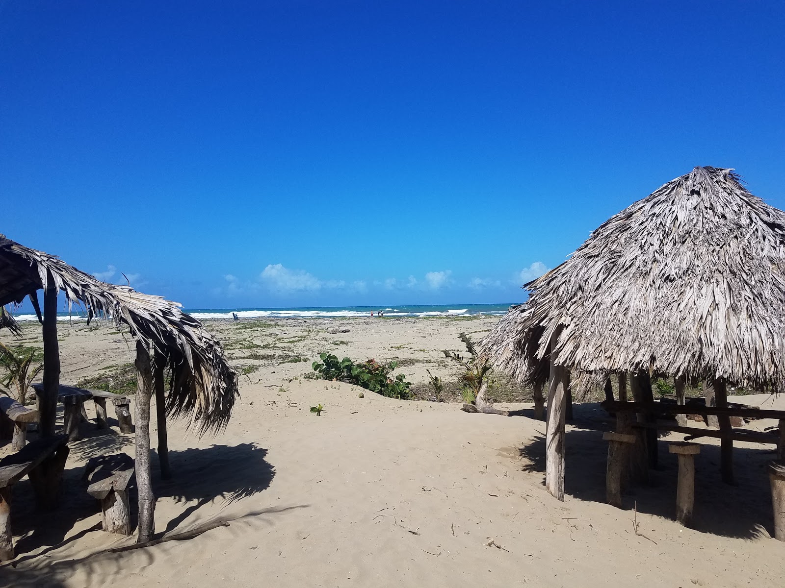 Playa Boca de Yasica'in fotoğrafı çok temiz temizlik seviyesi ile