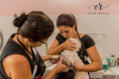 Espaço SPA pet Realengo Rio de Janeiro