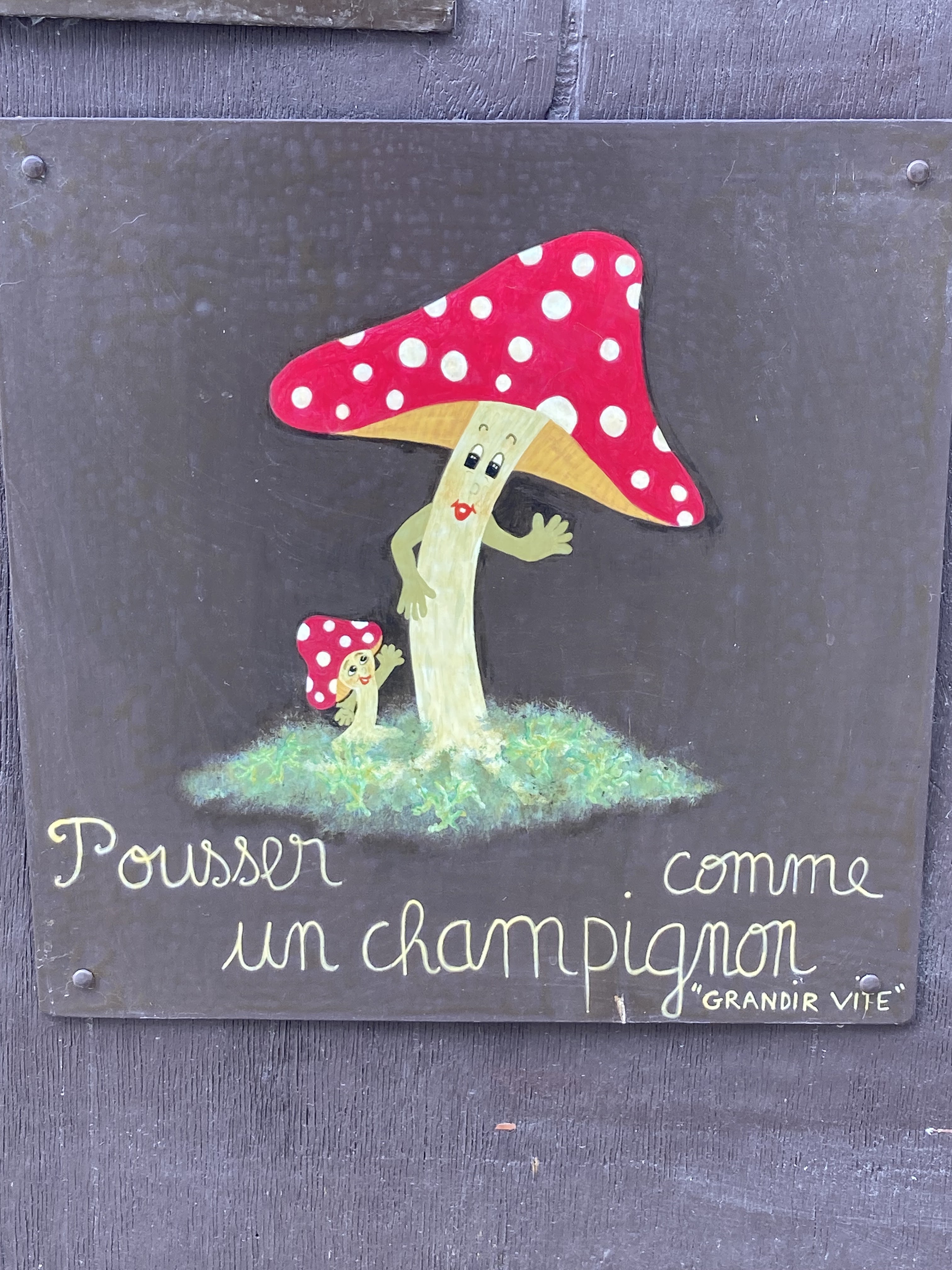 Photo n° 9 de l'avis de Denis.a fait le 16/08/2022 à 17:21