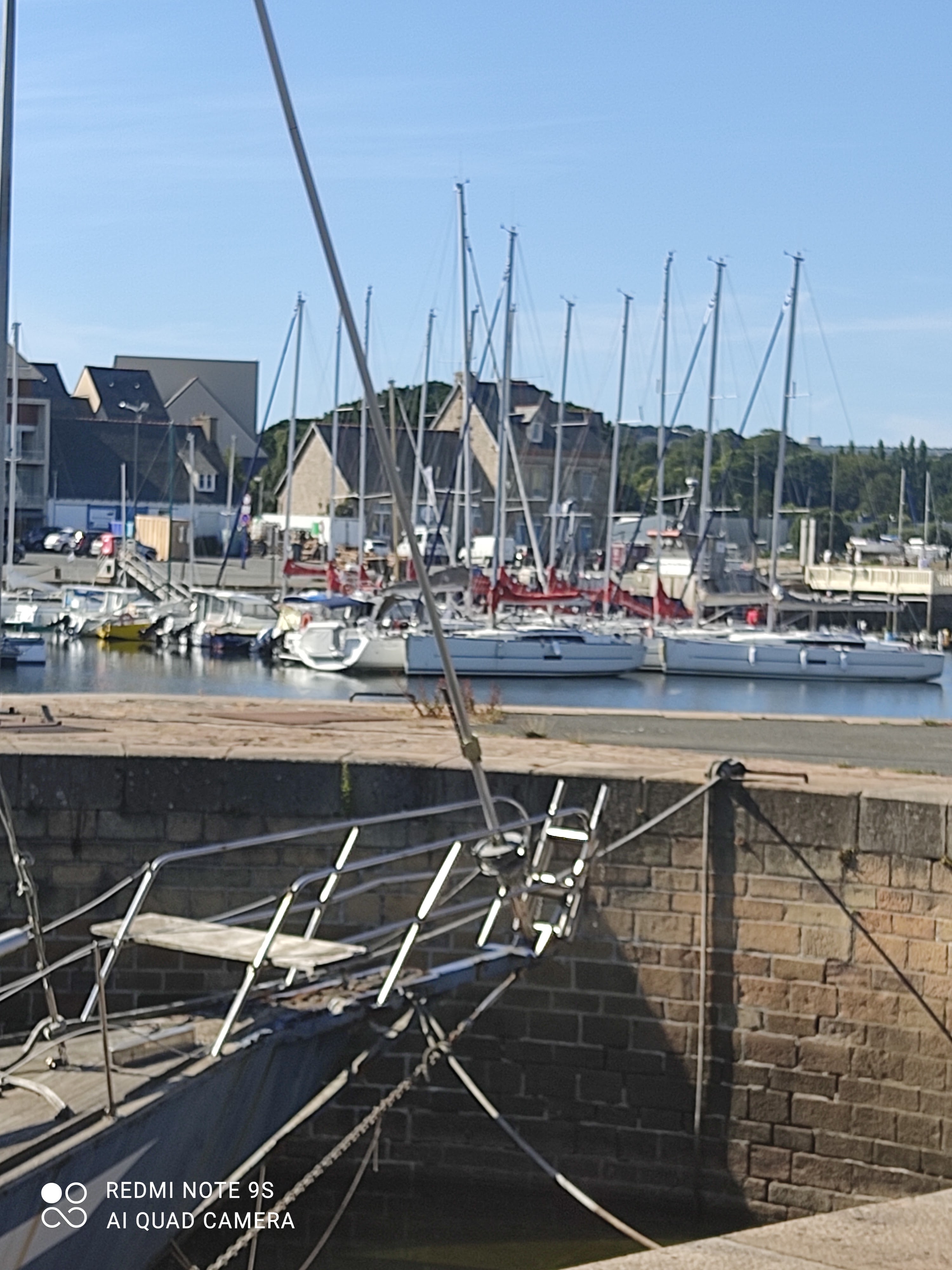 Photo n° 2 de l'avis de rosa.e fait le 07/08/2022 à 21:56