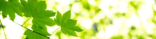 Identity Tattoo Parlor, 2094 W Henderson Rd, Columbus, OH 43220, USA, 