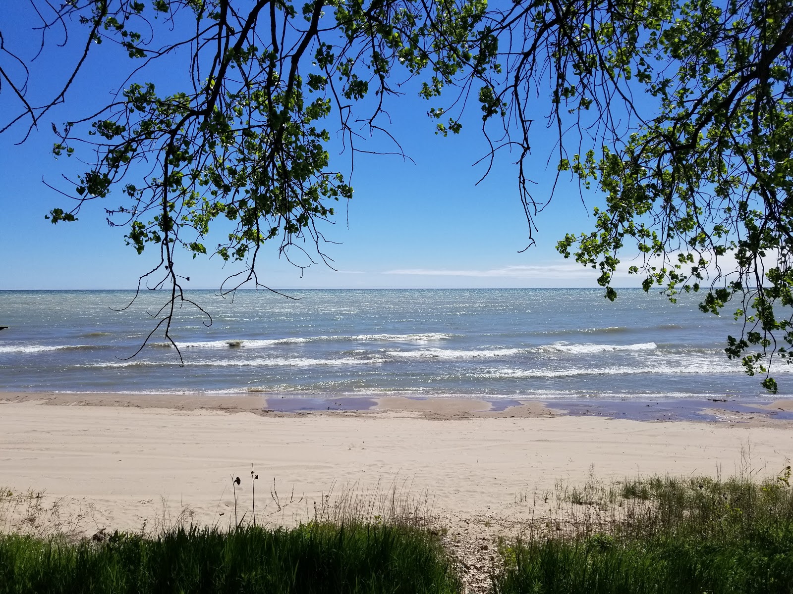 North Side Municipal Beach的照片 带有碧绿色纯水表面