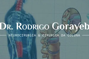 Prof. Doutor Rodrigo Gorayeb image