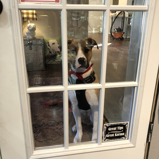 Pet Supply Store «Dog Style Canine Supply Company», reviews and photos, 2002 Judson Rd Suite 102, Longview, TX 75605, USA