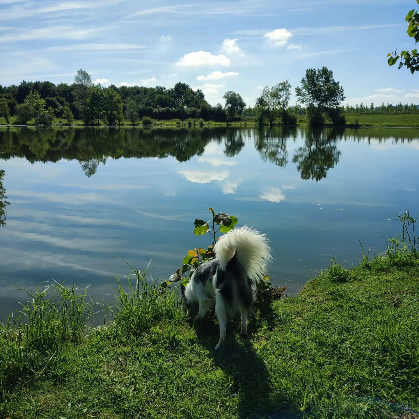 Photo n° 6 de l'avis de lily.i fait le 30/05/2022 à 16:04