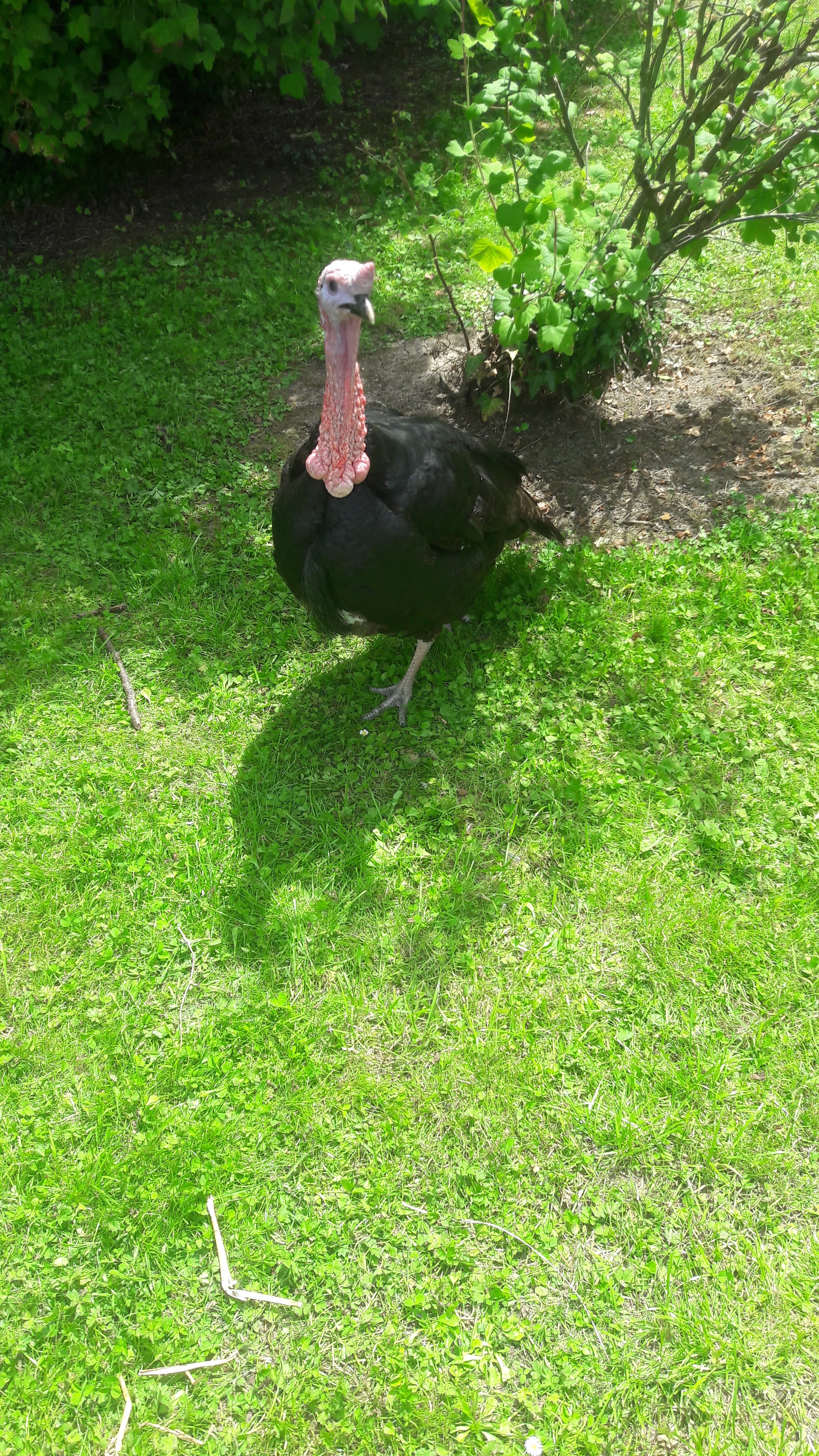 Photo n° 2 de l'avis de monique.O fait le 21/04/2018 à 14:04
