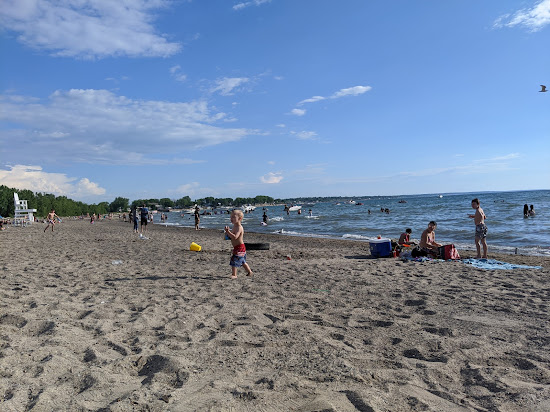 Sole at Woodlawn Beach