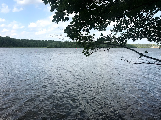 Public Golf Course «Mercer Oaks Golf Course», reviews and photos, 725 Village Rd W, West Windsor Township, NJ 08550, USA