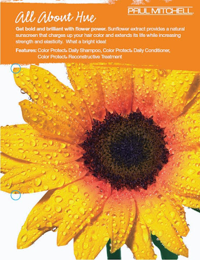 Hair Salon «In Color Salons», reviews and photos, 13551 Will Clayton Pkwy, Humble, TX 77346, USA