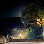 Photo n°5 de l'avis de Joan. fait le 07/08/2020 à 21:25 sur le  Hotel Valkarana à Sant'Antonio di Gallura