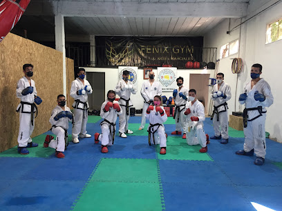 Taekwondo Team Daniel Garcia