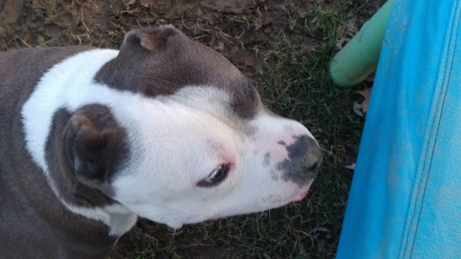 Pet Supply Store «Petco Animal Supplies», reviews and photos, 20111 US-19 #201c, Cranberry Twp, PA 16066, USA