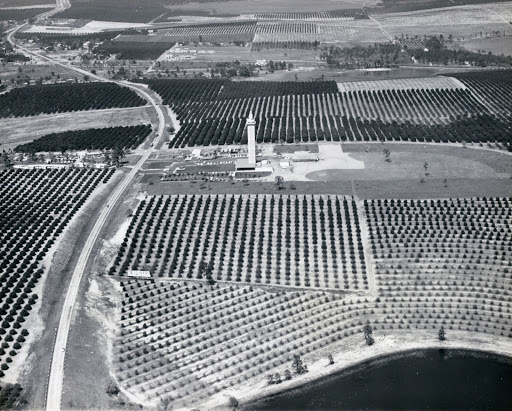 Tourist Attraction «Florida Citrus Tower», reviews and photos, 141 US-27, Clermont, FL 34711, USA