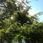 Photo n°8 de l'avis de Laura.p fait le 21/08/2017 à 04:42 sur le  Albergo e Ristorante Al Pescatore di Faes Angiolina e Figli Snc à Bagolino