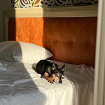 Photo n°1 de l'avis de dario.o fait le 25/08/2022 à 08:13 sur le  Hotel Riviera à Bellaria - Igea Marina