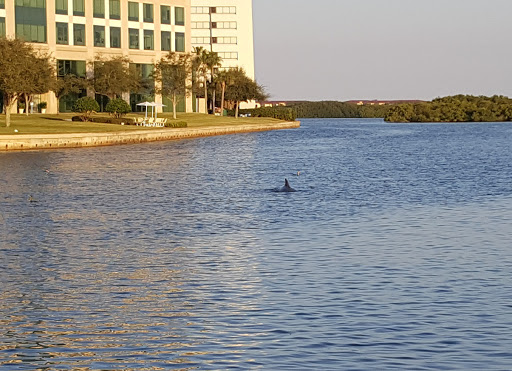 Coffee Shop «Starbucks at The Westin Tampa Bay», reviews and photos, 7627 W Courtney Campbell Causeway, Tampa, FL 33607, USA