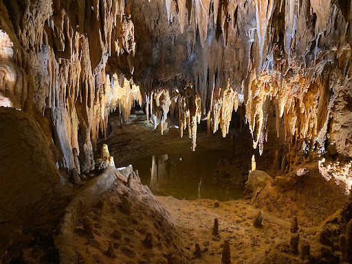 Tourist Attraction «Luray Caverns», reviews and photos, 101 Cave Hill Rd, Luray, VA 22835, USA