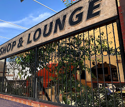 Bicicletas Parque Hidalgo photo