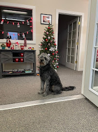 Erika Novoa - State Farm Insurance Agent - Photo 9 - Car repair in Santa Rosa, CA, Santa Rosa