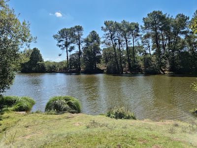 Etang de Trégu à Plélan-le-Grand