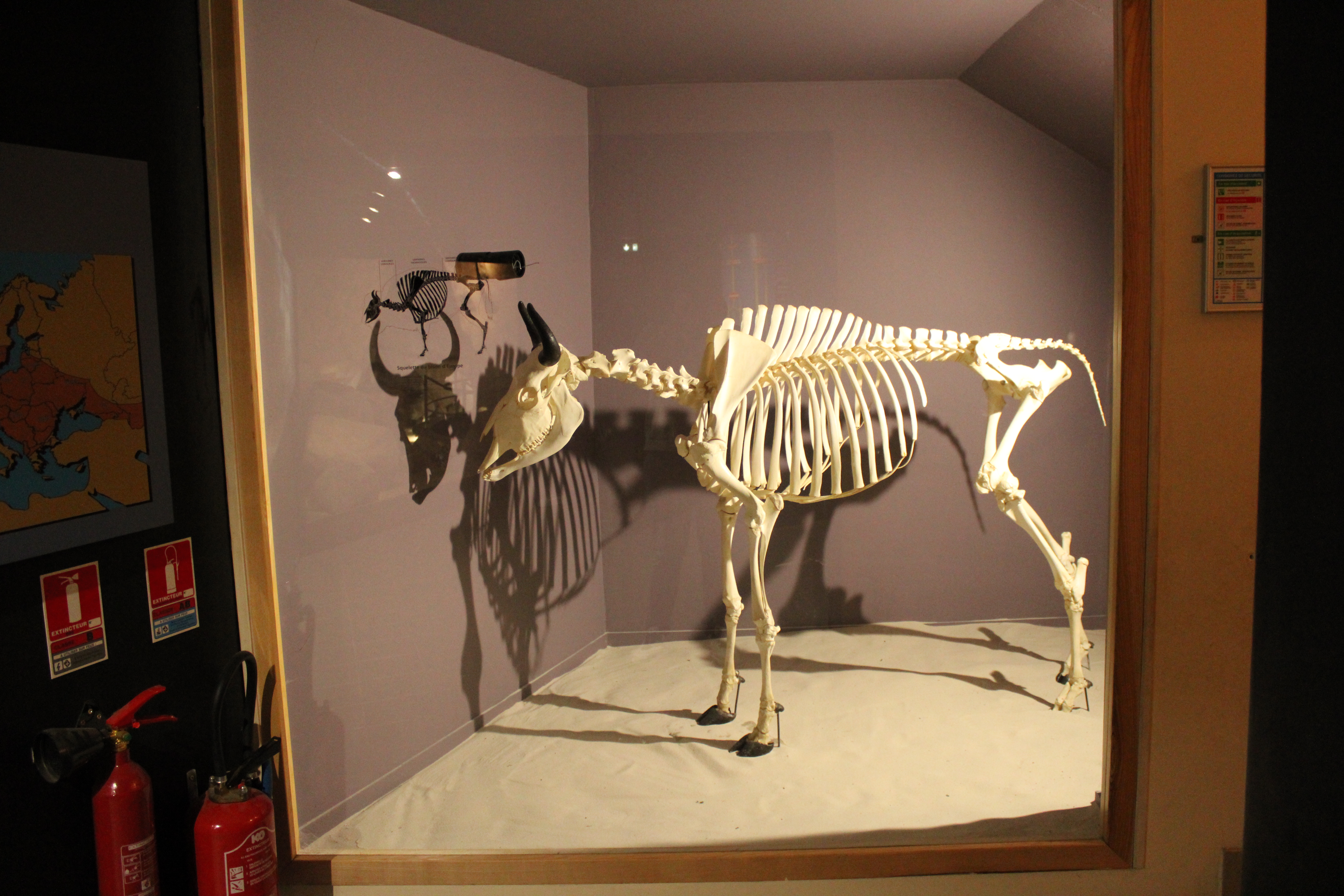 Photo n° 7 de l'avis de Brandon.i fait le 20/10/2020 à 16:26