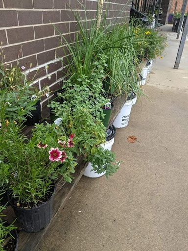 Hardware Store «Ace Hdwe North Asheville», reviews and photos, 812 Merrimon Ave, Asheville, NC 28804, USA