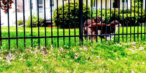 Park «Webber Park», reviews and photos, 4300 Webber Pkwy, Minneapolis, MN 55412, USA