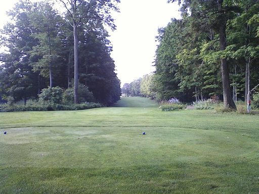Public Golf Course «Sugar Loaf The Old Course», reviews and photos, 4512 S Town Line Rd, Cedar, MI 49621, USA