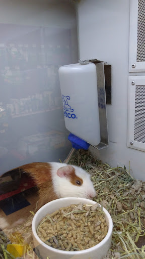 Pet Supply Store «Petco Animal Supplies», reviews and photos, 1090 Fort Union Blvd, Midvale, UT 84047, USA