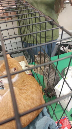 Pet Supply Store «Pet Supplies Plus», reviews and photos, 1289 N Milwaukee Ave, Chicago, IL 60622, USA