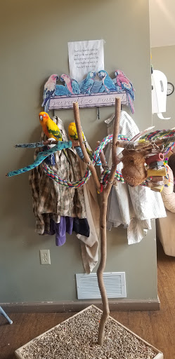 Bird Shop «Parrot & Bird Emporium Inc», reviews and photos, 360 N Westfield St, Feeding Hills, MA 01030, USA