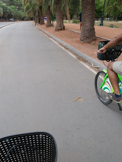 Estación de bicicletas