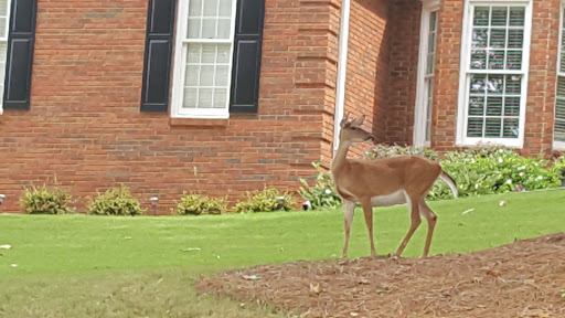 Golf Course «Flat Creek Country Club», reviews and photos, 100 Flat Creek Rd, Peachtree City, GA 30269, USA