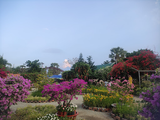 Top 20 mẫu cửa hàng đẹp Huyện Tịnh Biên An Giang 2022