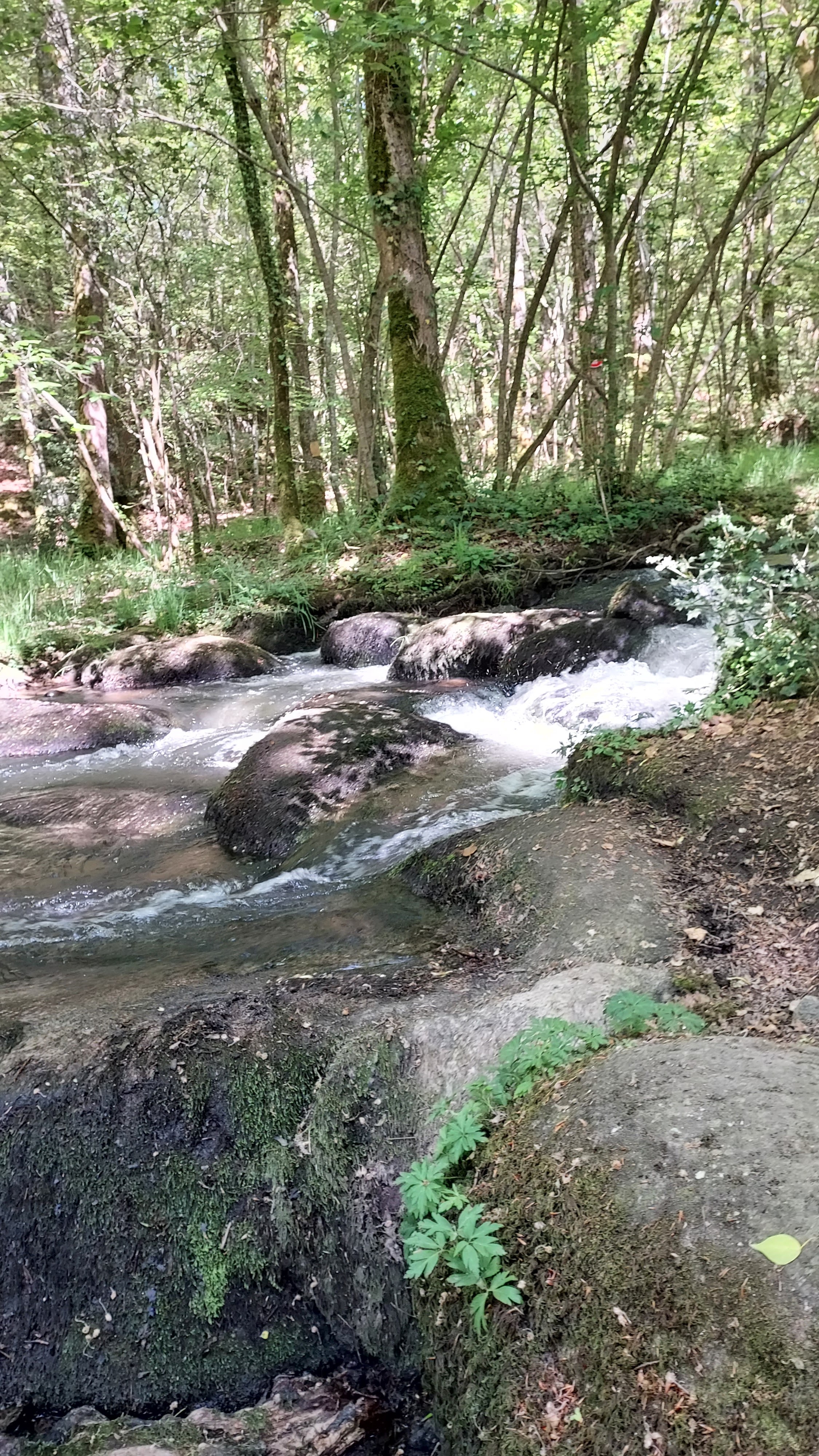 Photo n° 2 de l'avis de fab.e fait le 24/05/2023 à 15:43