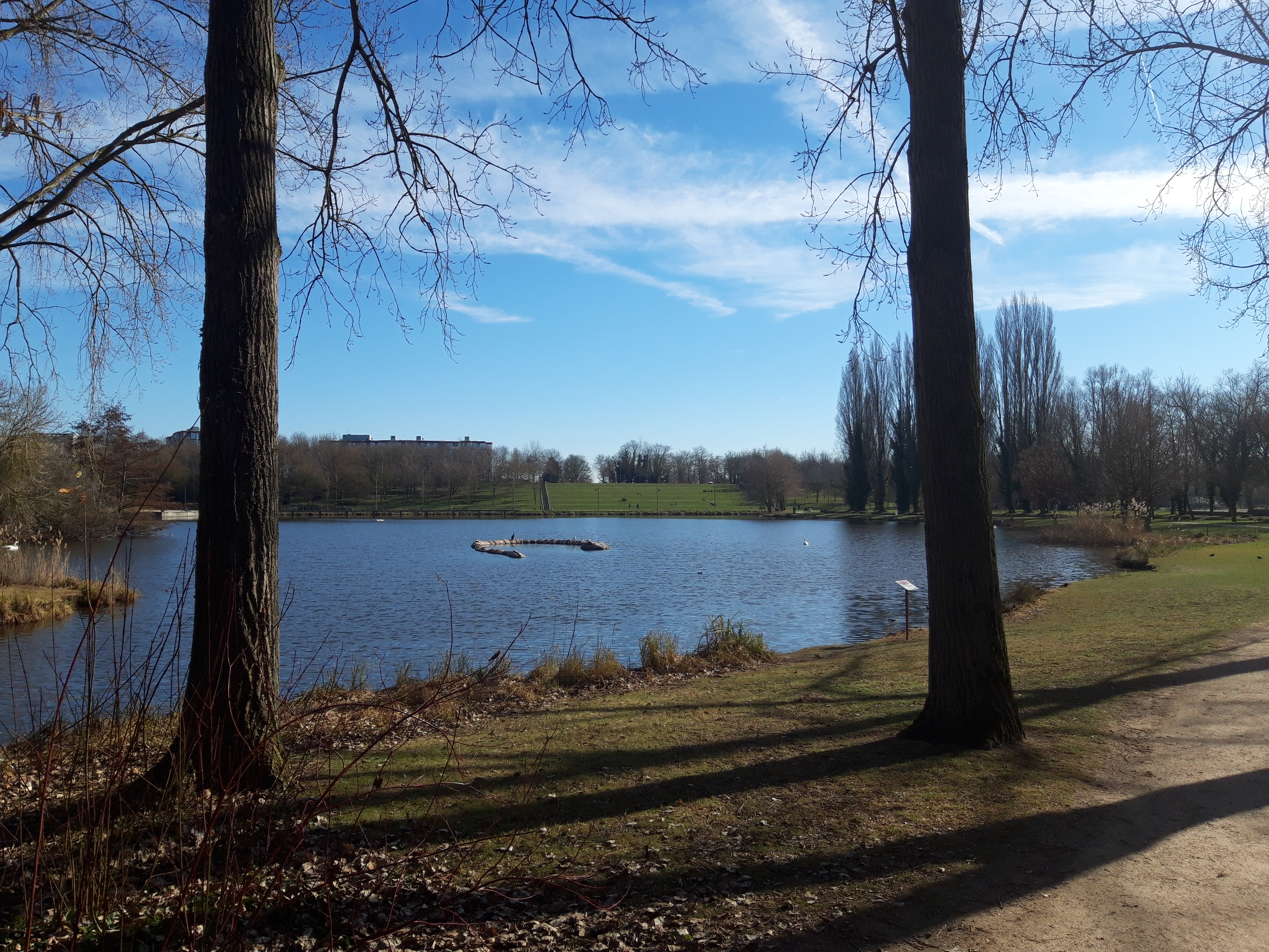 Photo n° 19 de l'avis de Pierre.h fait le 05/01/2019 à 15:43