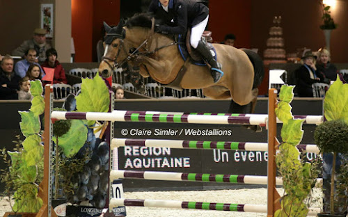 Magasin d'équipements sportifs d'extérieur Spring Garden CONCEPTION & RÉALISATION D’OBSTACLES La Roche-Chalais