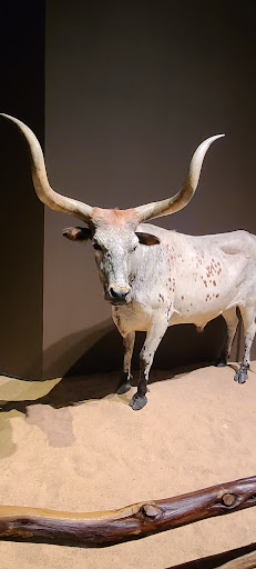 Museum «Texas Ranger Hall of Fame & Museum», reviews and photos, 100 Texas Ranger Trail, Waco, TX 76706, USA