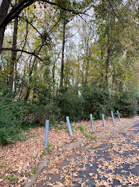 A Time To Dance - Photo 6 - Car repair in Virginia Beach, VA, Norfolk