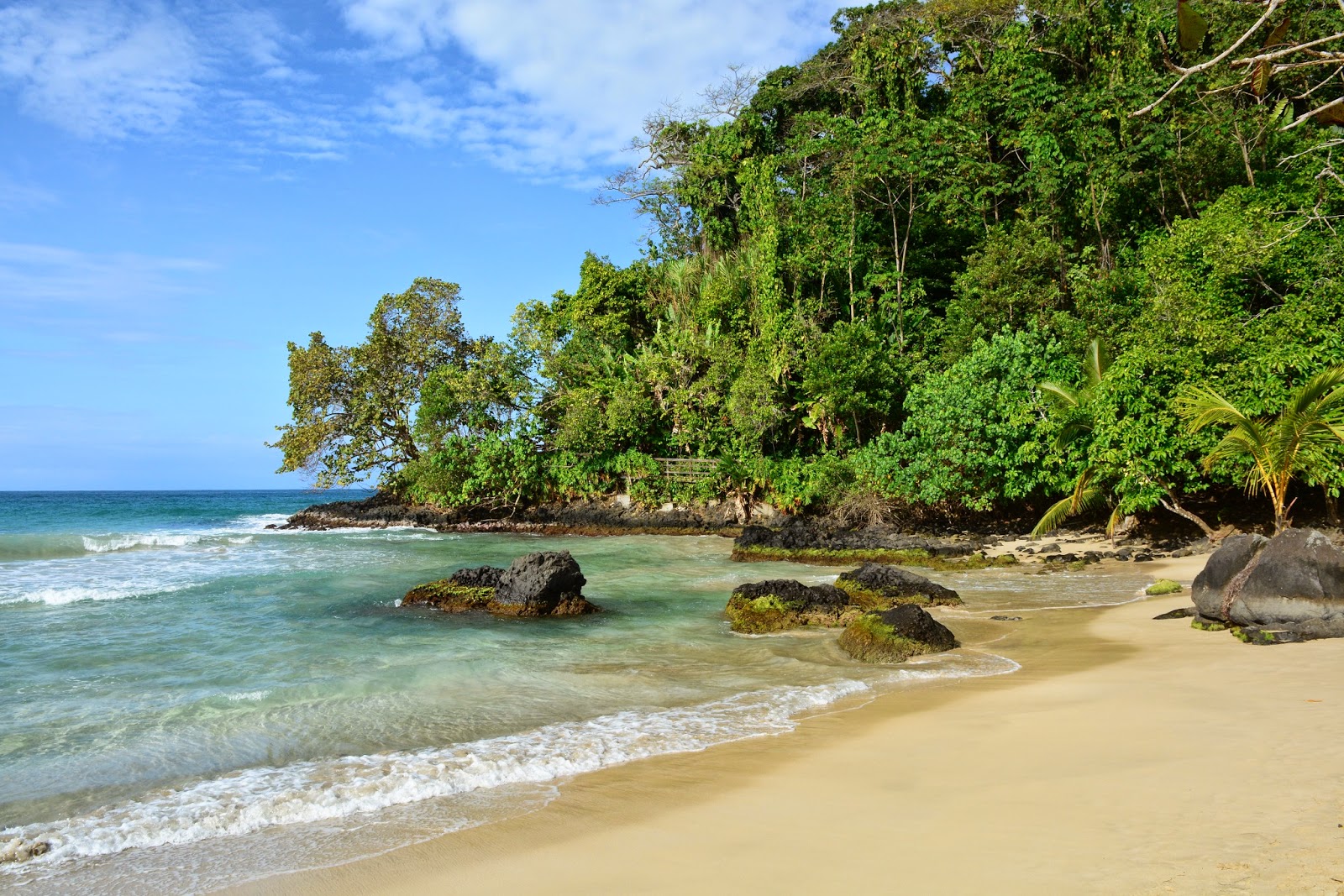 Rode Kikker Strand (Playa Red Frog) 🏖️, Bocas del Toro (Panama) - bekijk  alle functies, foto's, beoordelingen, image size:1600x1067