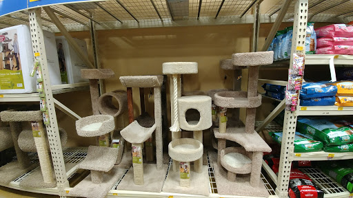 Pet Supply Store «PetSmart», reviews and photos, 2221 Oakton St, Evanston, IL 60202, USA