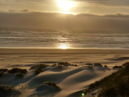 Title Company «WFG National Title - Clackamas», reviews and photos