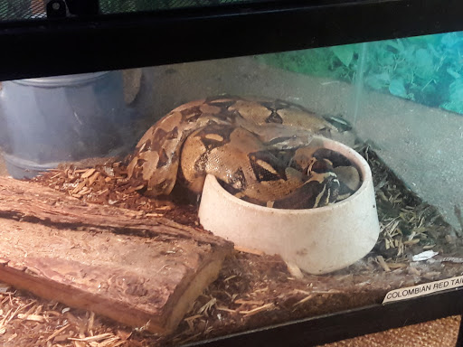 Pet Store «Zimmers Pets», reviews and photos, 51 E Philadelphia Ave, Boyertown, PA 19512, USA