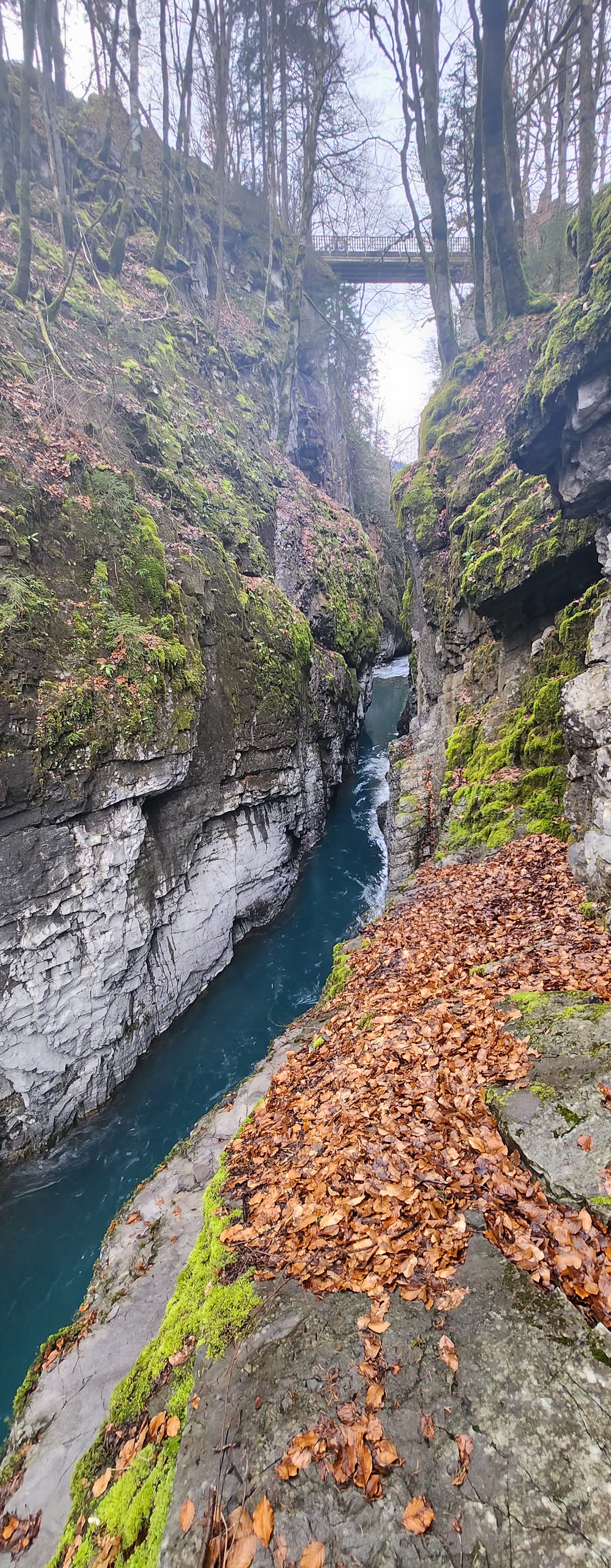 Photo n° 3 de l'avis de Mikuláš.r fait le 13/03/2024 à 17:12