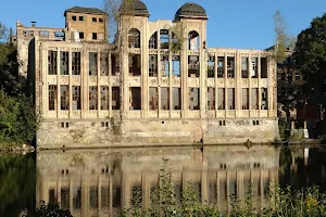 Saaleufer vom Holzplatz bis Pulverweiden image