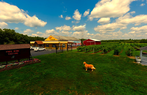 Winery «Balic Winery», reviews and photos, 6623 Harding Hwy, Mays Landing, NJ 08330, USA