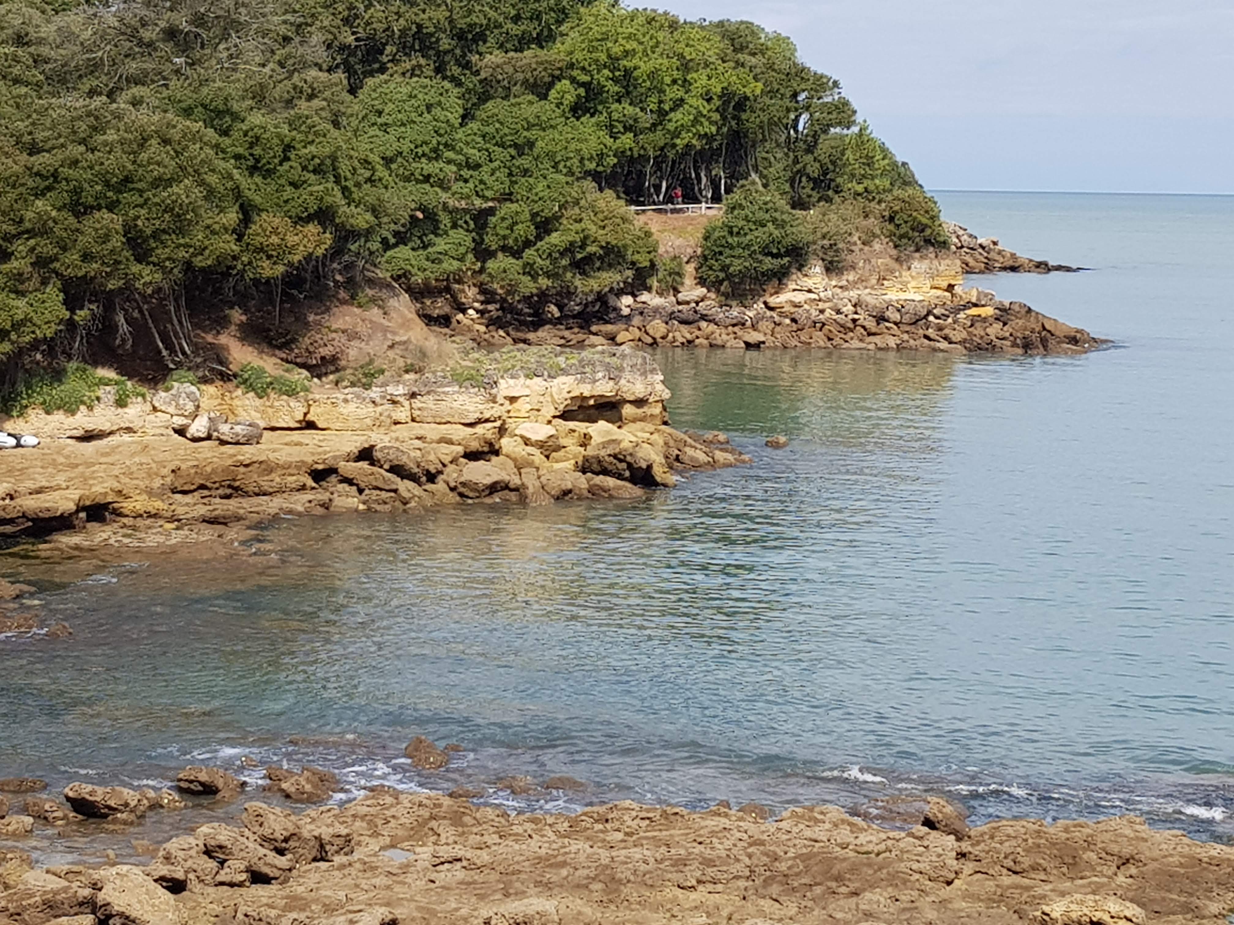 Photo n° 5 de l'avis de Philippe.u fait le 29/07/2023 à 14:54