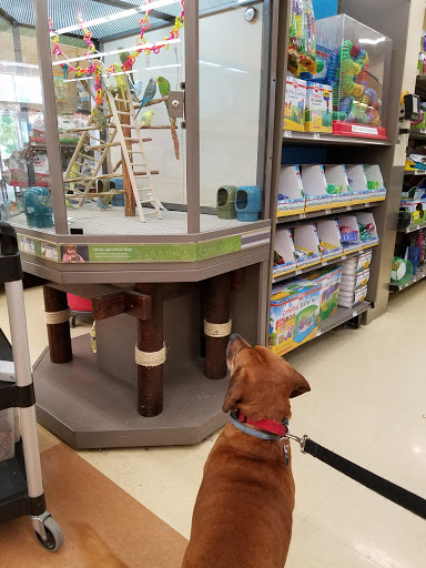 Pet Supply Store «Petco Animal Supplies», reviews and photos, 101 Hale Rd, Manchester, CT 06042, USA