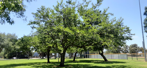 Park «Stearns Champions Park», reviews and photos, 4520 E 23rd St, Long Beach, CA 90815, USA